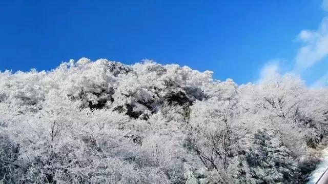 塞尔达：荒野之息
